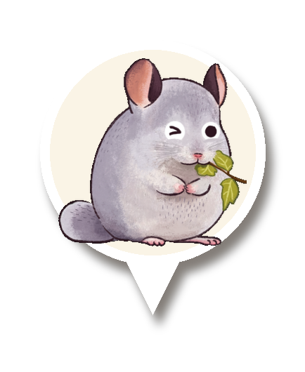 친칠라