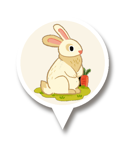 토끼